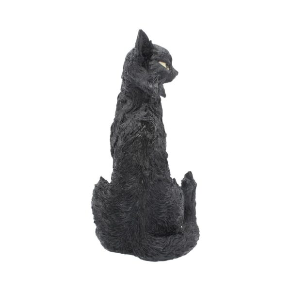 Salem - Image 5