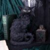 Salem - Image 6