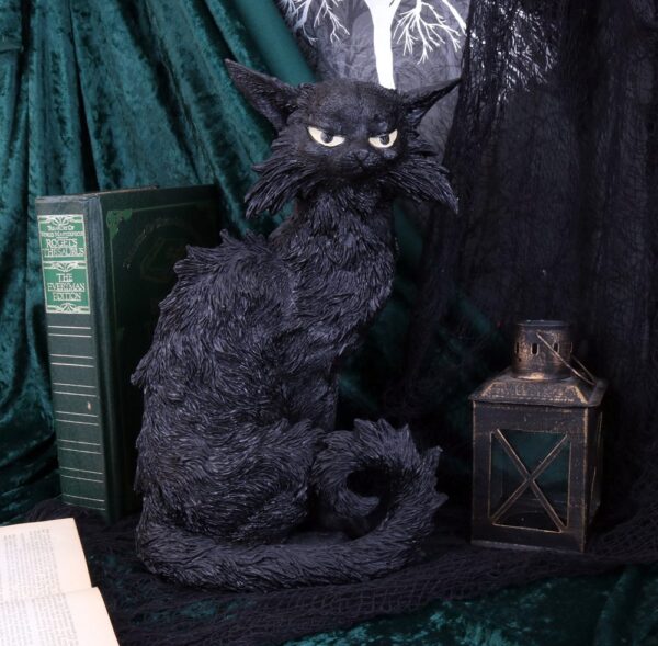 Salem - Image 6