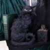 Salem - Image 7