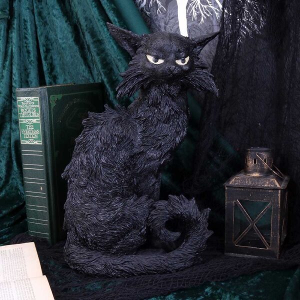 Salem - Image 7