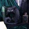 Large Spite - Image 6