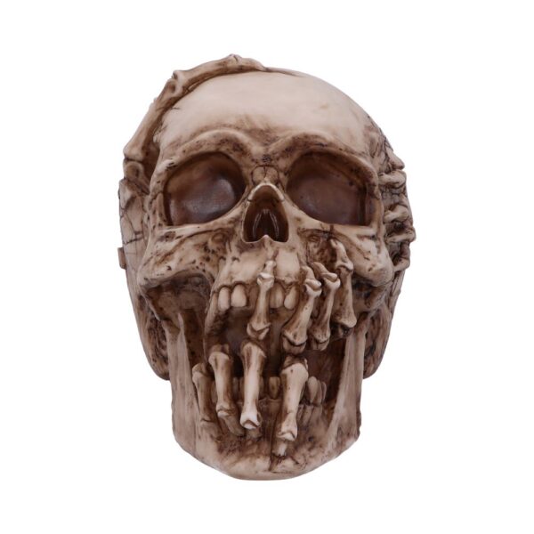 Breaking Out Skull - Image 9