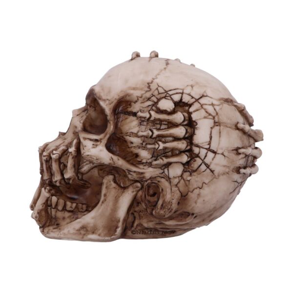 Breaking Out Skull - Image 10