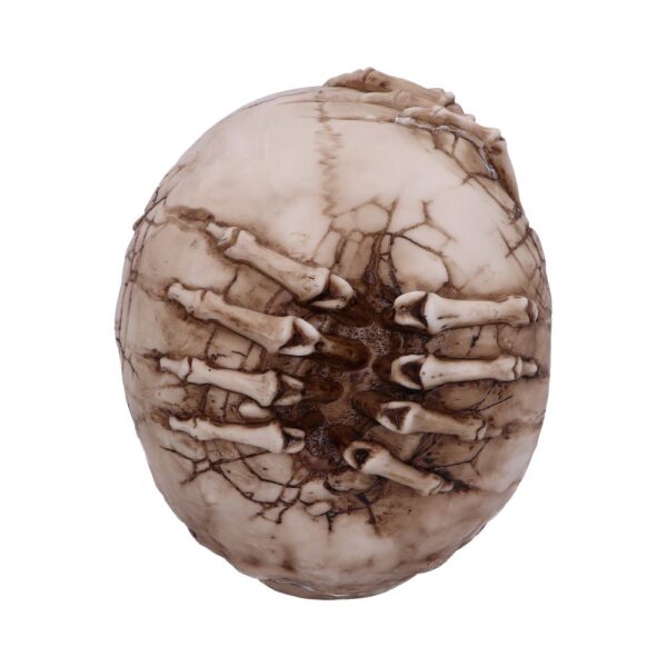 Breaking Out Skull - Image 2
