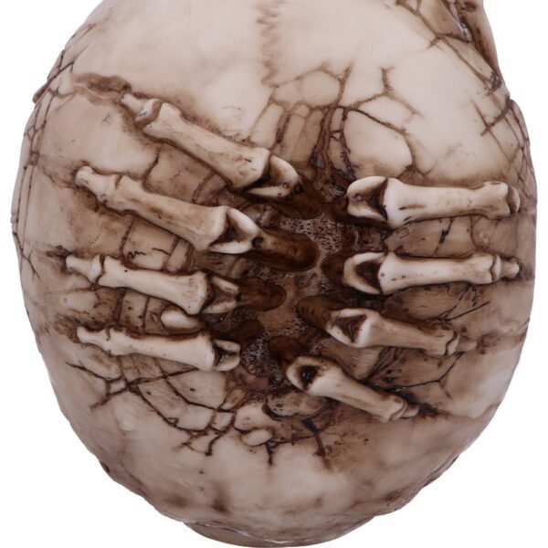 Breaking Out Skull - Image 3