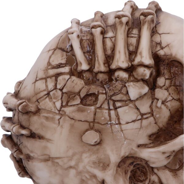 Breaking Out Skull - Image 4