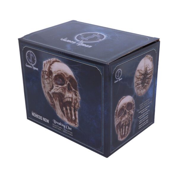 Breaking Out Skull - Image 5