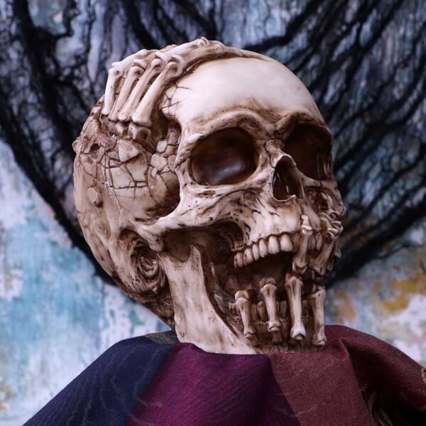 Breaking Out Skull - Image 6