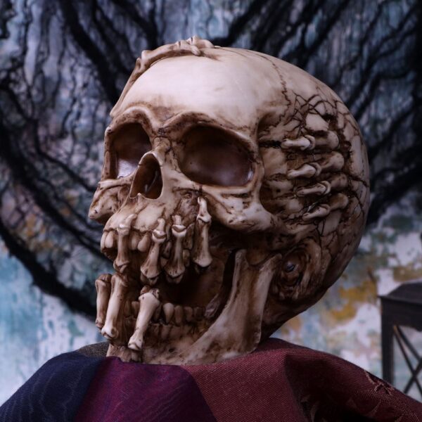 Breaking Out Skull - Image 7