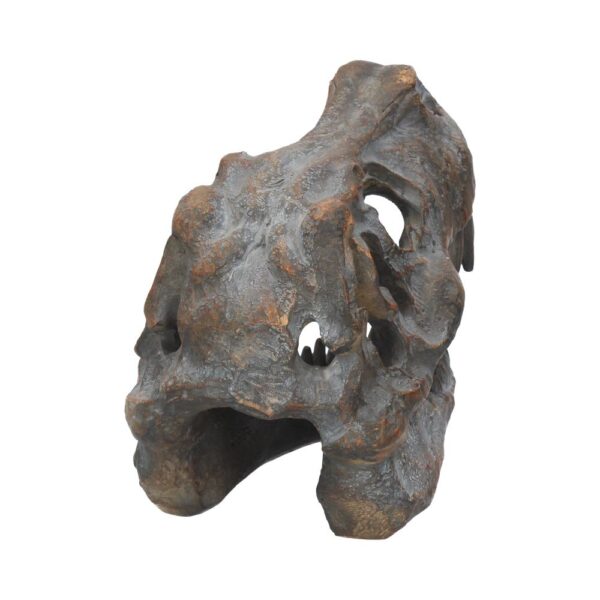 T-rex Skull - Image 3