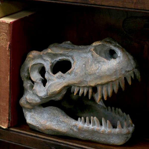 T-rex Skull - Image 5