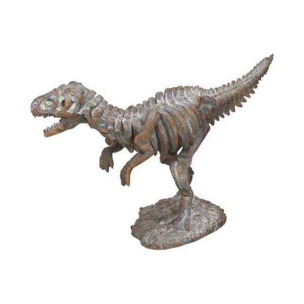 T-rex Skeleton - Image 8