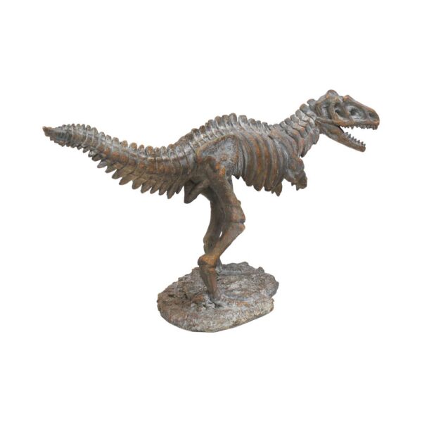T-rex Skeleton - Image 4