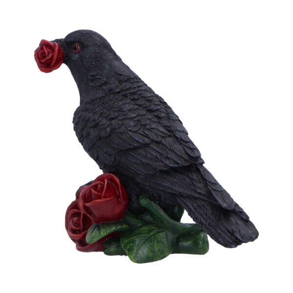 Rose of the Raven - Image 7