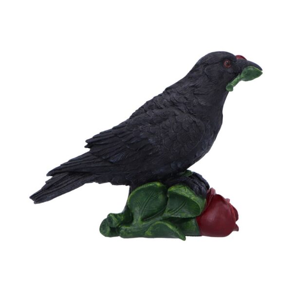 Rose of the Raven - Image 8
