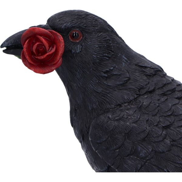 Rose of the Raven - Image 3