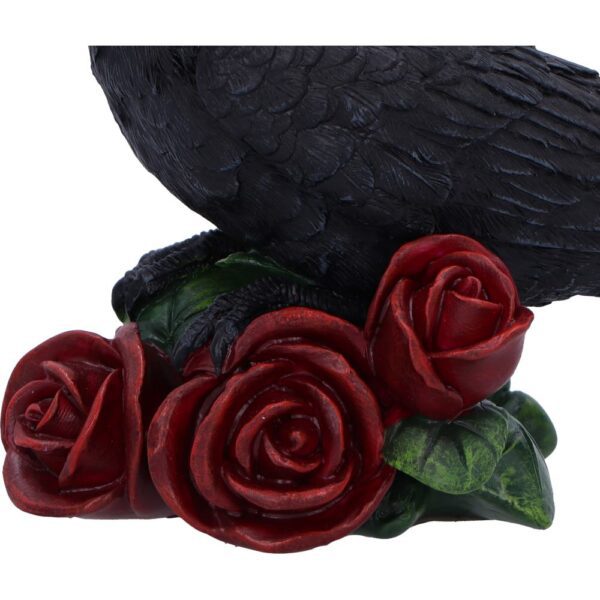 Rose of the Raven - Image 4