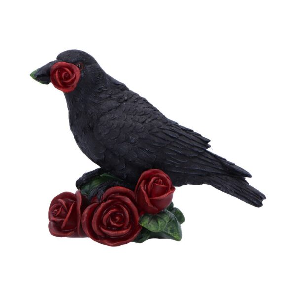 Rose of the Raven - Image 6