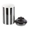 Stripe Bat Storage Jar - Image 4