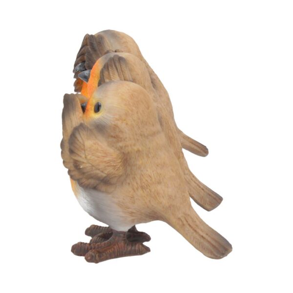 Three Wise Robins - Image 6
