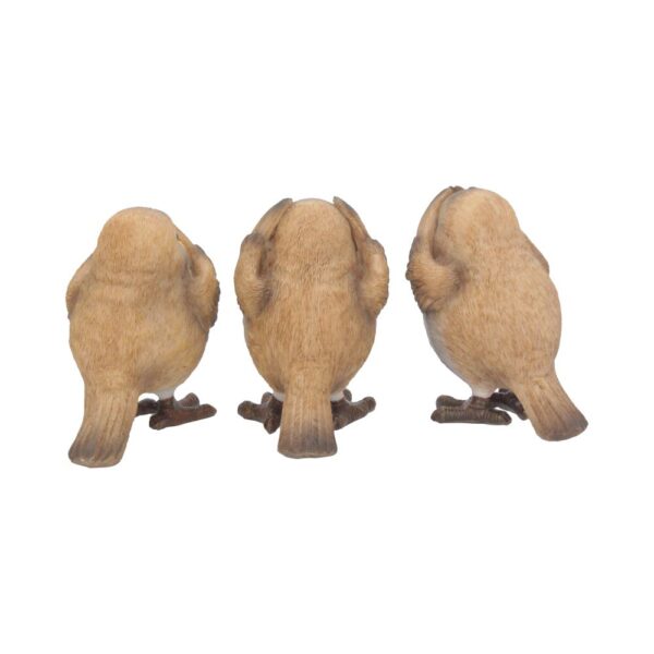 Three Wise Robins - Image 7