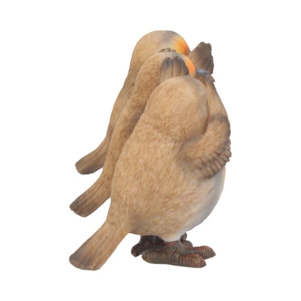 Three Wise Robins - Image 2