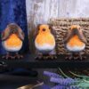Three Wise Robins - Image 4