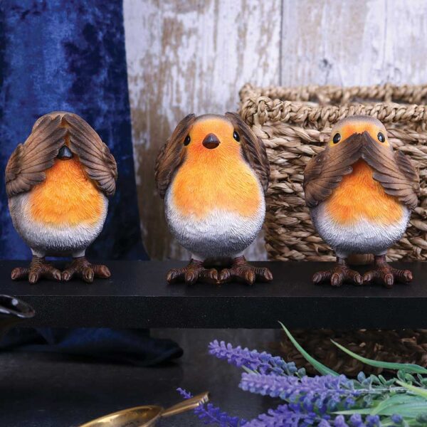 Three Wise Robins - Image 4