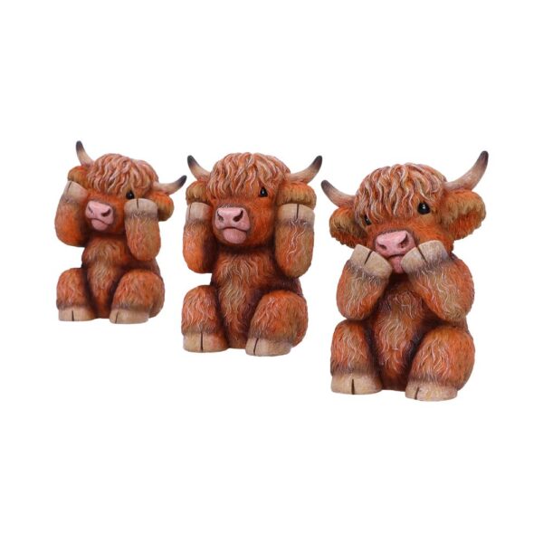 Three Wise Highland Cows - Image 7