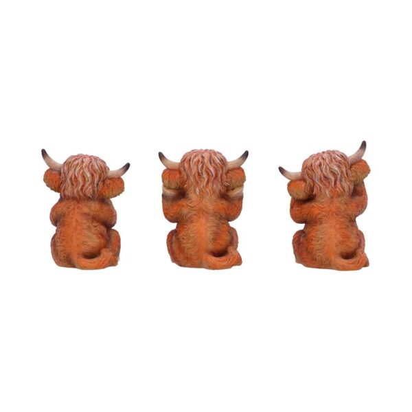 Three Wise Highland Cows - Image 8