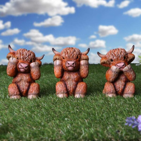 Three Wise Highland Cows - Image 5