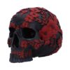 Age of Opium Skull - Image 2