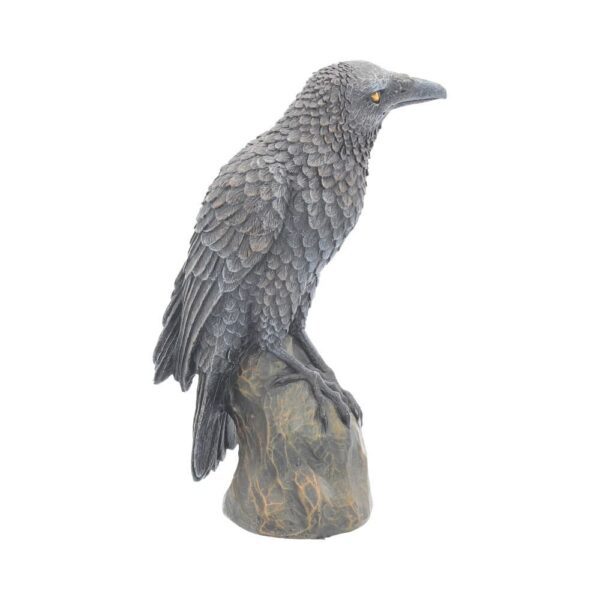 Ravens Rest - Image 3