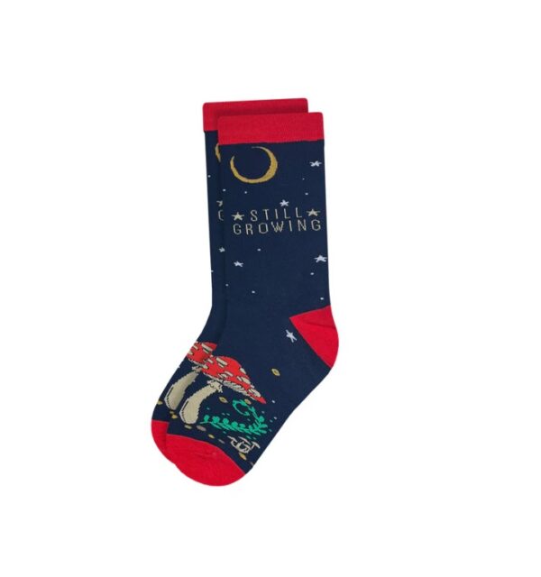 Twisted Soles Funny Socks - Image 13