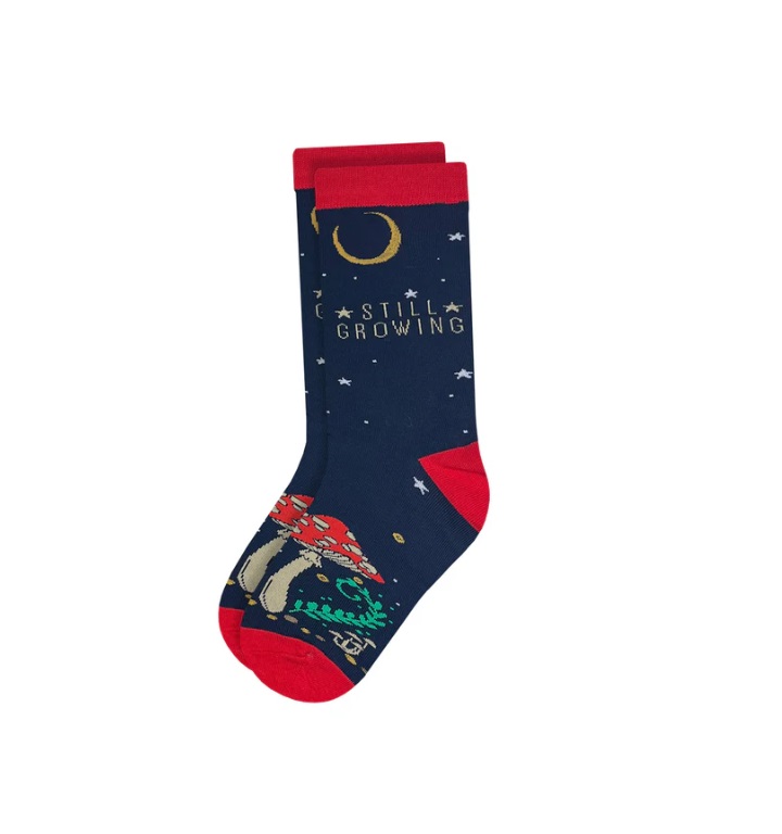 Twisted Soles Funny Socks - Image 13
