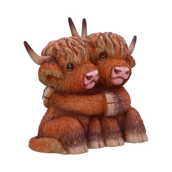 Highland Hug - Image 5