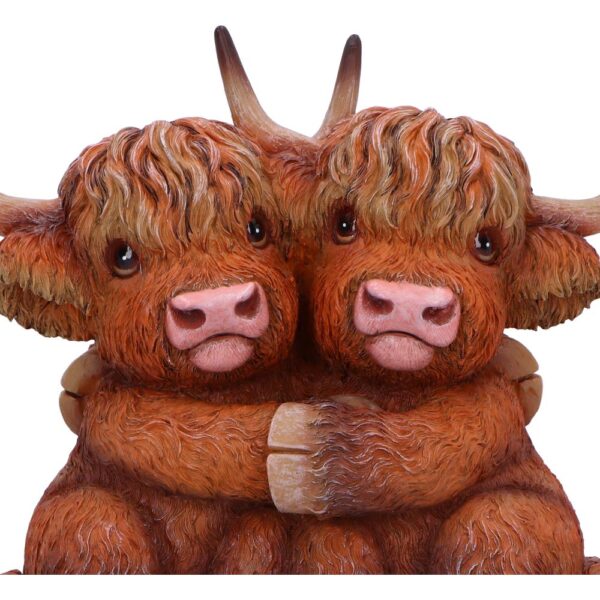 Highland Hug - Image 6