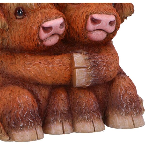 Highland Hug - Image 7