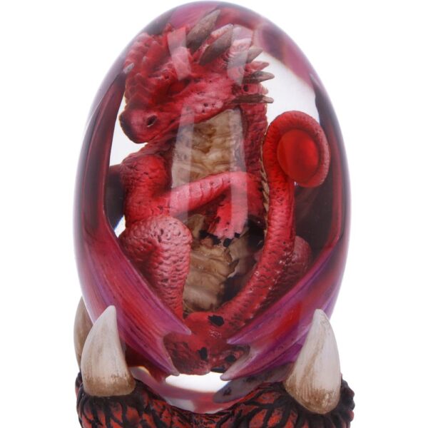 Fire Elemental Dragonling - Image 6