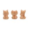 Three Wise Ginger Cats - Image 4