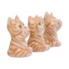 Three Wise Ginger Cats - Image 5
