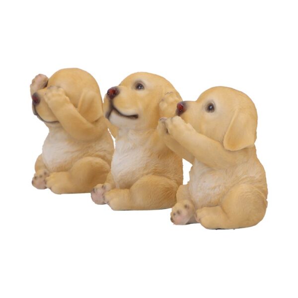 Three Wise Golden Labs - Image 7