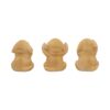 Three Wise Golden Labs - Image 6