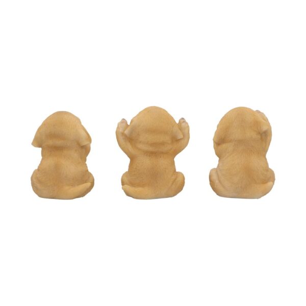 Three Wise Golden Labs - Image 6
