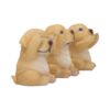 Three Wise Golden Labs - Image 5