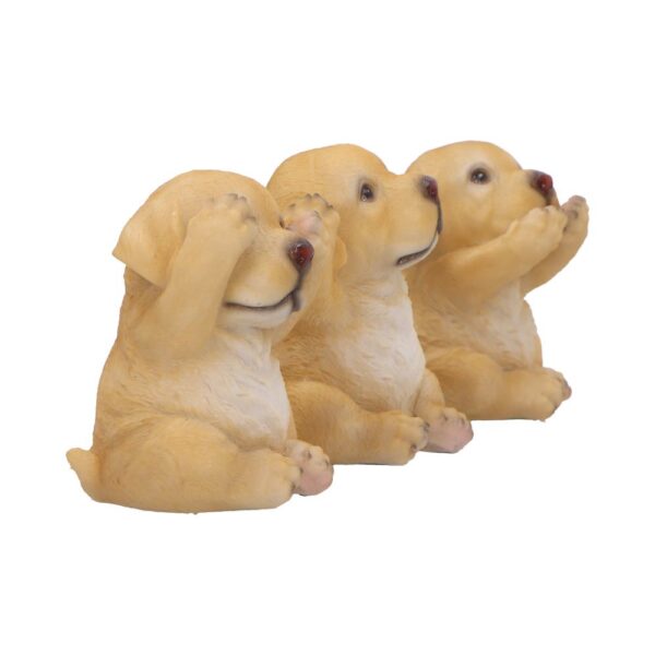 Three Wise Golden Labs - Image 5