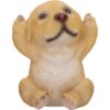 Three Wise Golden Labs - Image 4