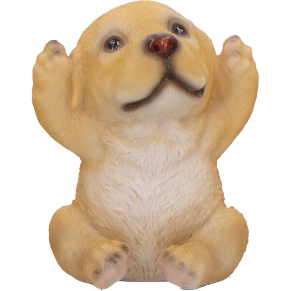 Three Wise Golden Labs - Image 4