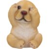 Three Wise Golden Labs - Image 3